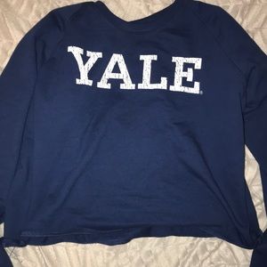 cropped yale sweater